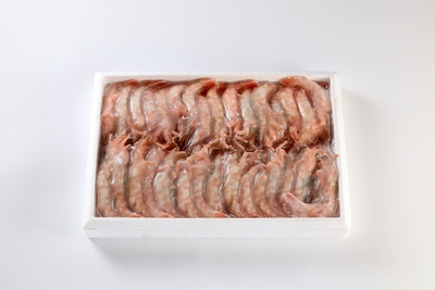 船内冷凍　モサエビ（Lサイズ）