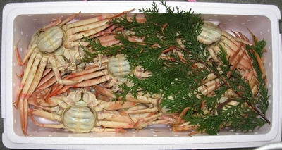 ボイル　セコガニ(中サイズ)　指落ち　８入り