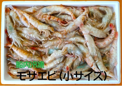 船内冷凍　モサエビ（Sサイズ）