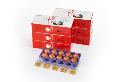 たまご美人10個入り【赤玉・温泉たまご】【5～10月は冷蔵便】（商品番号113/223/224/273）