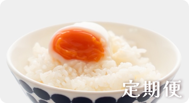 定期便