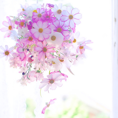 10月4日5日到着　コスモス&（バラか秋の花）　ご自宅用＆ギフト＆ブーケ　