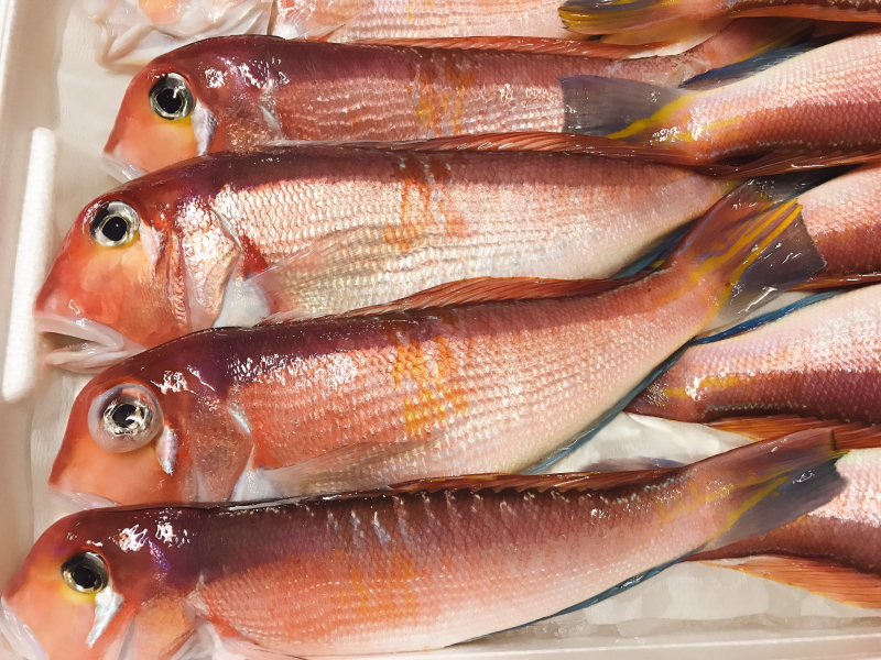 甘鯛延縄　新品 4122-S-KcaL.jpg_BO30,255,255,