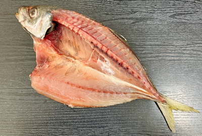瀬つきあじ開き(特大サイズ1尾)