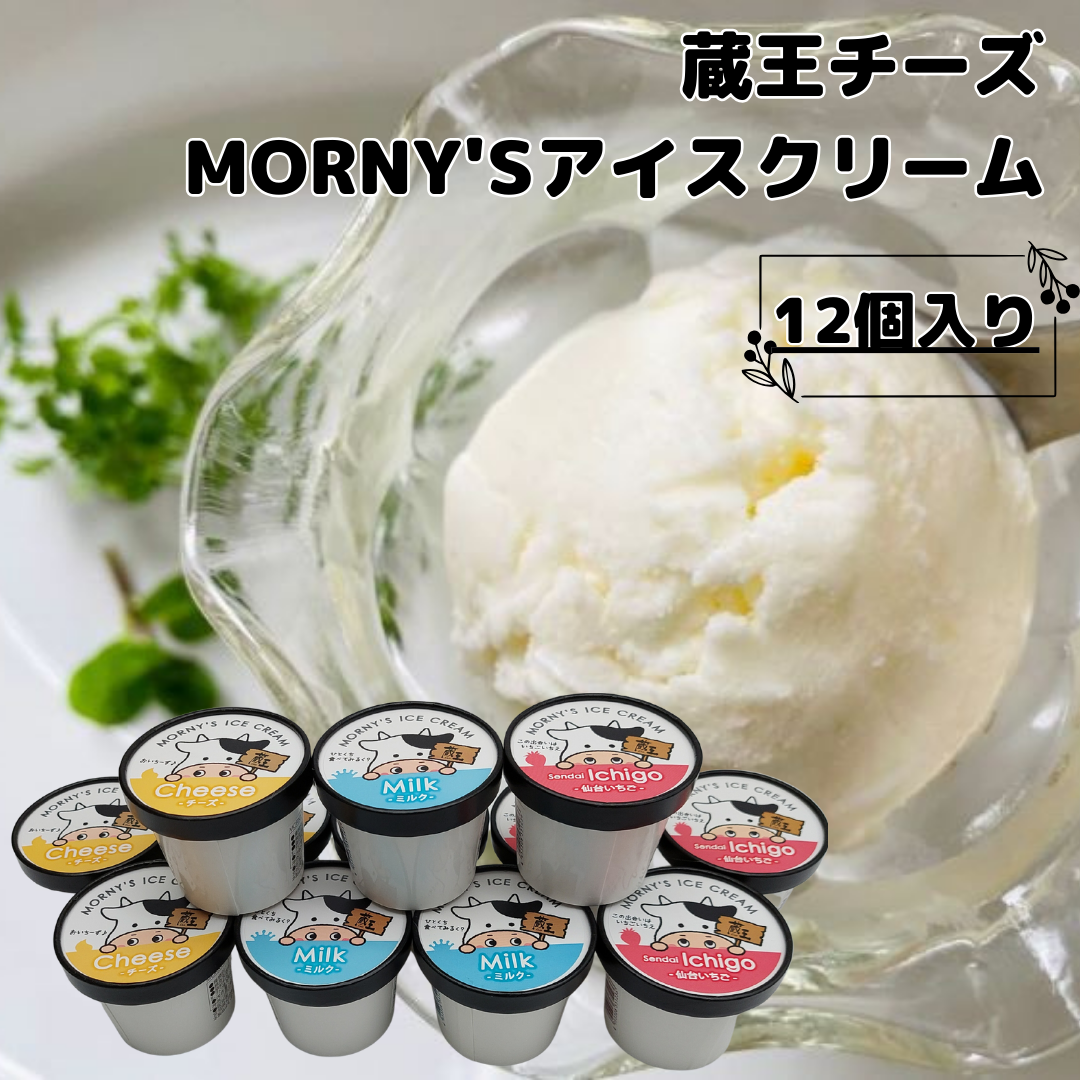 アイスクリーム 15枚 送料無料】MORNY'Sアイスクリーム12個入【冷凍】 | 蔵王チーズ公式