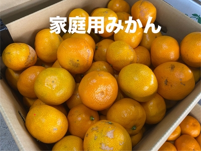 家庭用みかん
