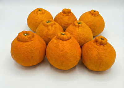 大将季（デコポン）