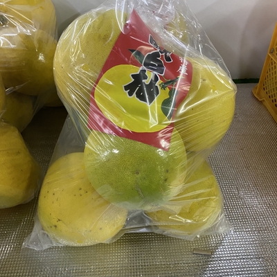 晩白柚　家庭用大袋