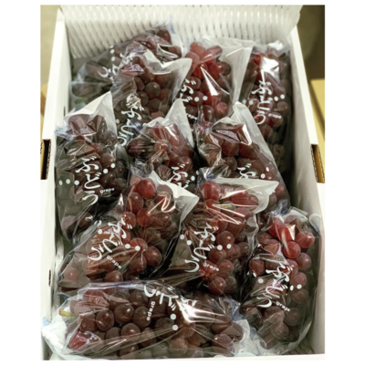 特秀品　デラウエア