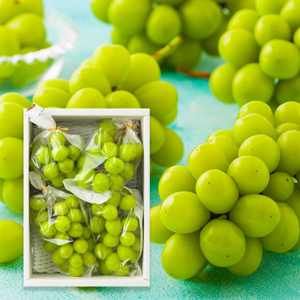 シャインマスカット | 里見果樹園