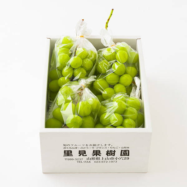 シャインマスカット | 里見果樹園