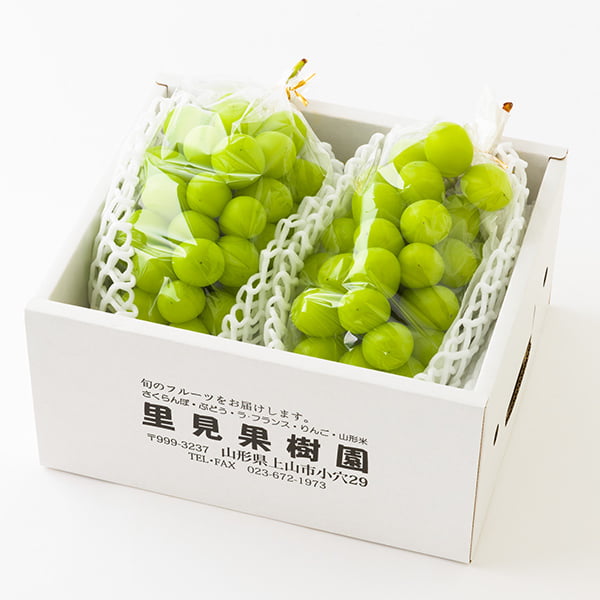 特秀シャインマスカット | 里見果樹園