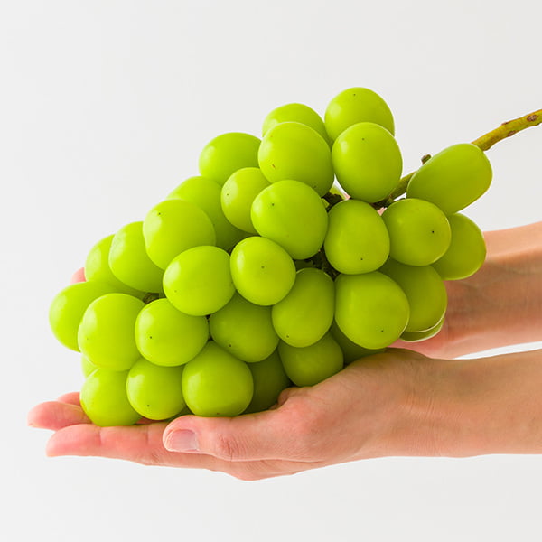 特秀シャインマスカット | 里見果樹園