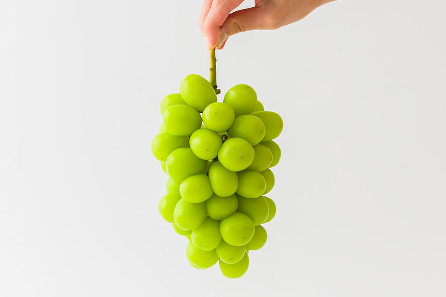 シャインマスカット一房 | 里見果樹園