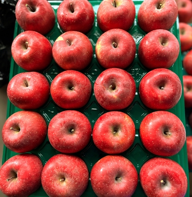 りんご（サンフジ）小玉