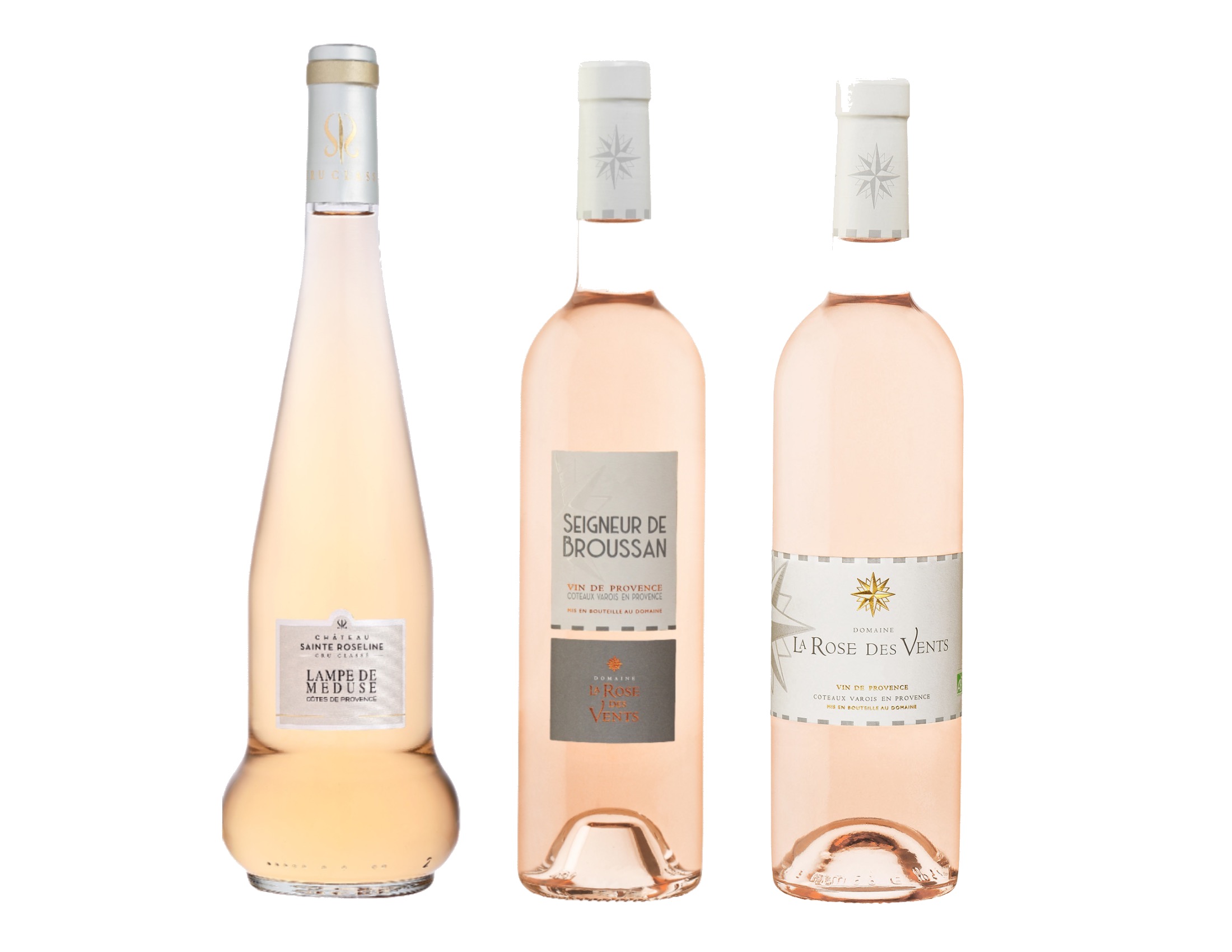 ランプドメドュウス ローズデヴォン ブロッサン | LVER SHOP