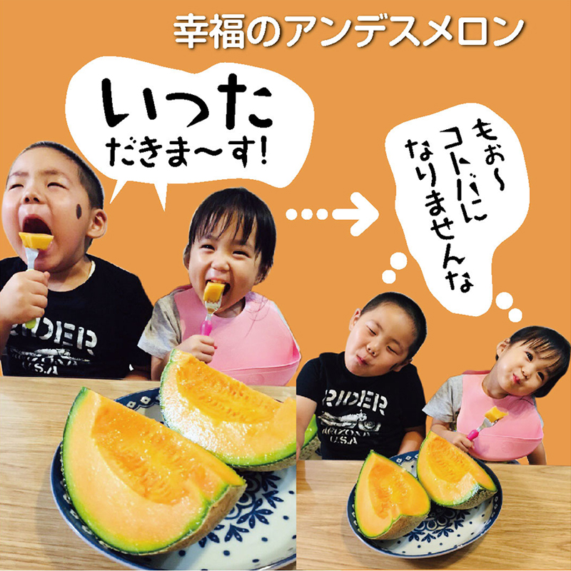 知る人ぞ知るメロンの名産地 山形県庄内砂丘メロン アンデスメロン（赤