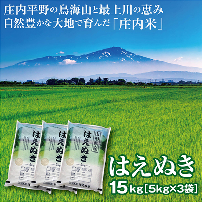 令７年産 山形県のロングセラーブランド米【はえぬき１５kg 】米どころ庄内平野で育った庄内米