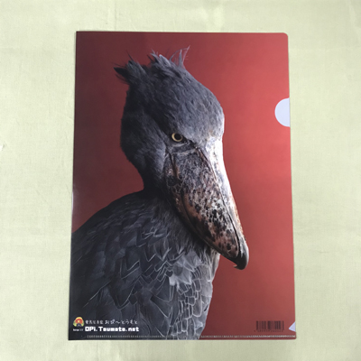 ♡ハシビロコウ♡さま専用ページ ハシビロコウ赤 クリアファイルA4 おぴ～マーケット | 神戸どうぶつ