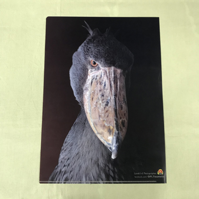 ♡ハシビロコウ♡さま専用ページ 府中市】ハシビロコウ好き必見！「HASHIBIRO LOVERs」が京王アートマン