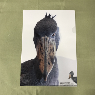 ハシビロコウ白 クリアファイルA4 おぴ～マーケット | 神戸どうぶつ