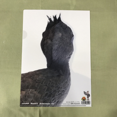 ハシビロコウ白 クリアファイルA4 おぴ～マーケット | 神戸どうぶつ