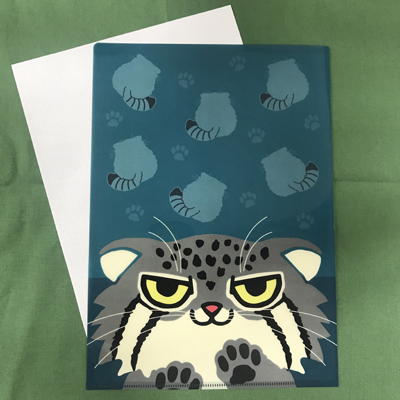 マヌルネコ 壁ドンクリアファイルA4 | 神戸どうぶつ王国NS