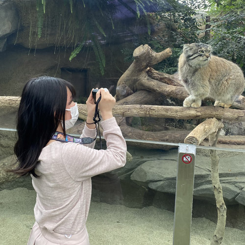動物集合 カメラストラップ スマトラトラ ハシビロコウ スナネコ カピバラ マヌルネコ アカコンゴウインコ 神戸どうぶつ王国ｎｓ