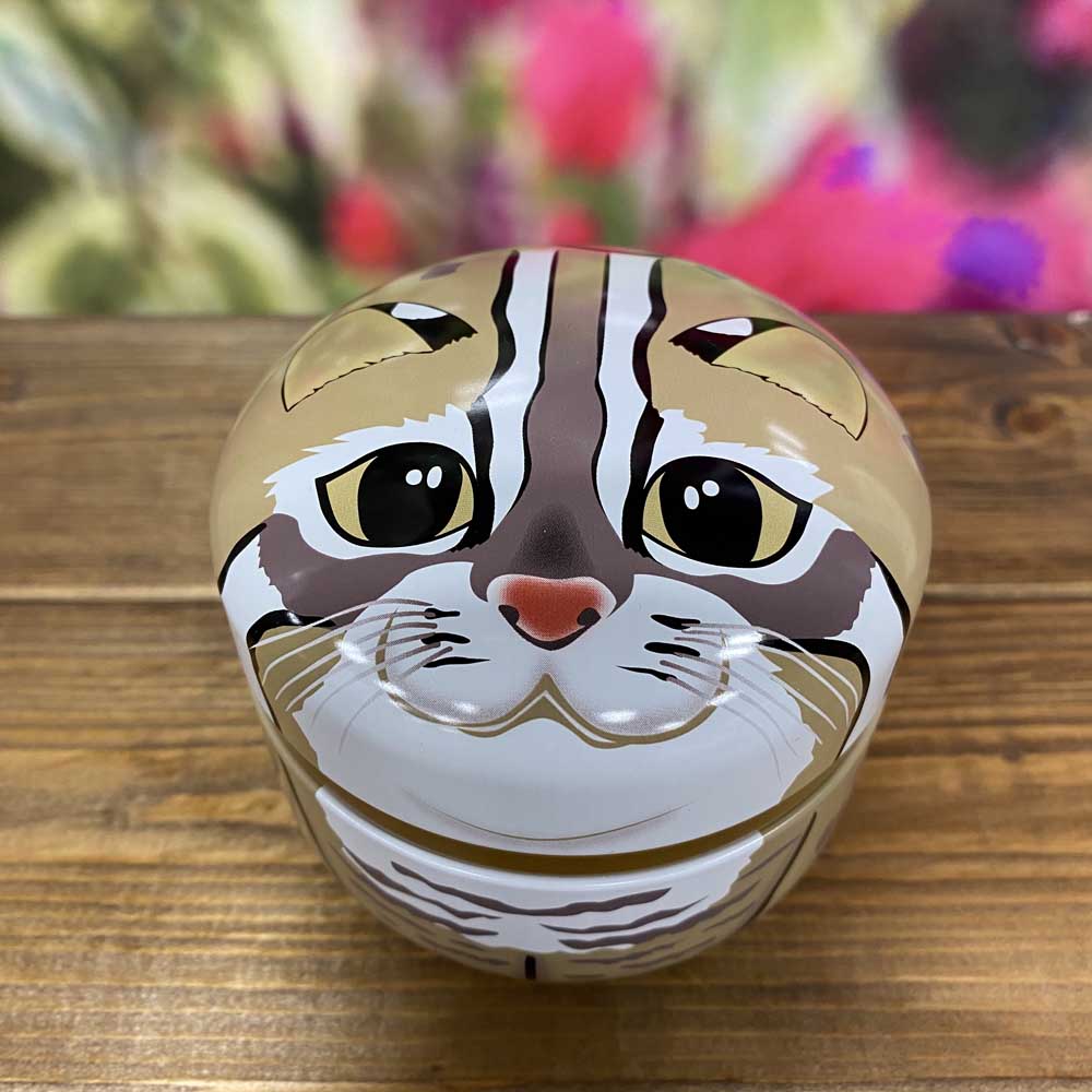 とらやま缶 ツシマヤマネコ ツシマヤマネコの生息地をまもる | 神戸