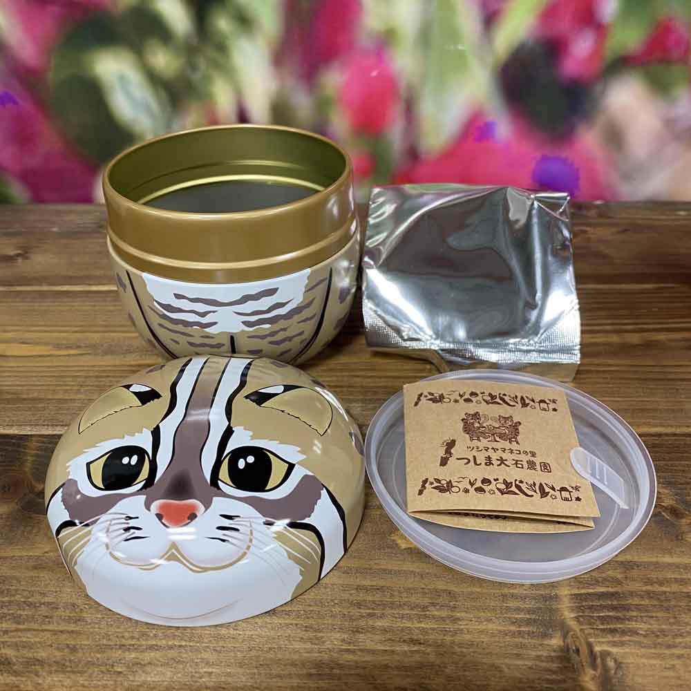 mainagamoto フテネコ 黄土色成型/茶縞 mainagamoto フテネコ 黄土色成型/茶縞 mainagamoto(ナガモトマイ) x