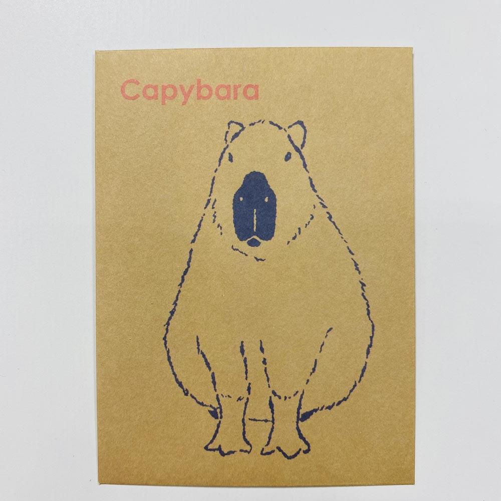 カピバラ ポチ袋 3枚入 | 神戸どうぶつ王国NS