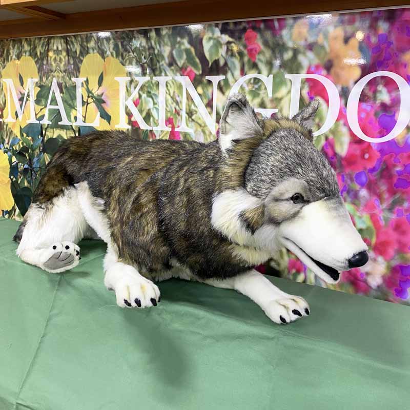 HANSA シンリンオオカミ100 TIMBERWOLF | 神戸どうぶつ王国NS 