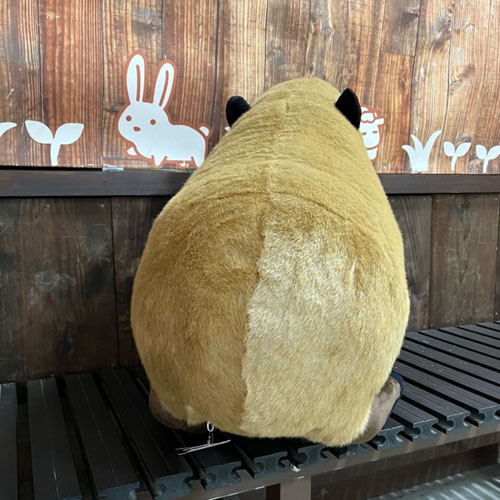 カピバラ 5128.jpg