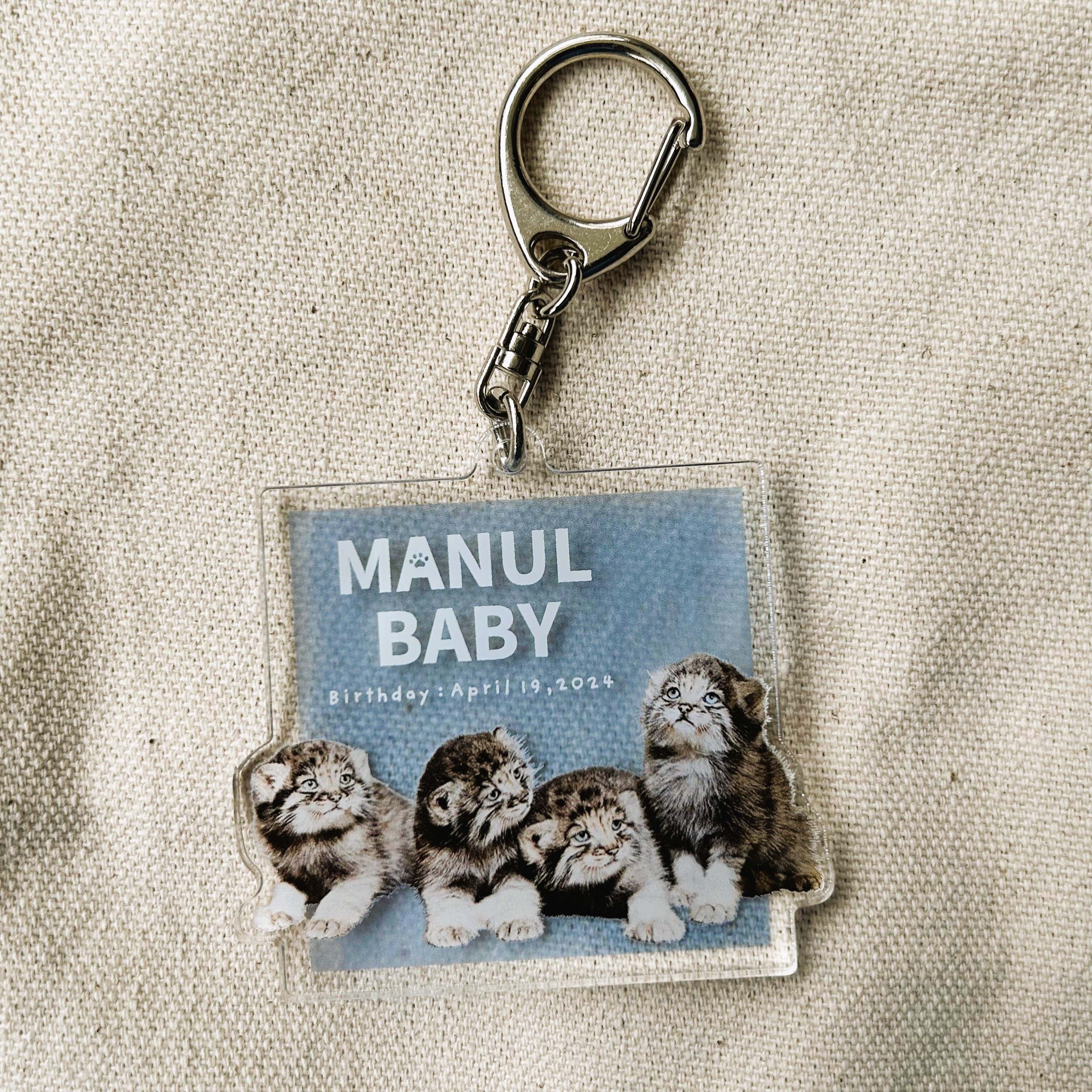 アクリルキーホルダー MANUL BABY（フォト） マヌルネコベビー | 神戸