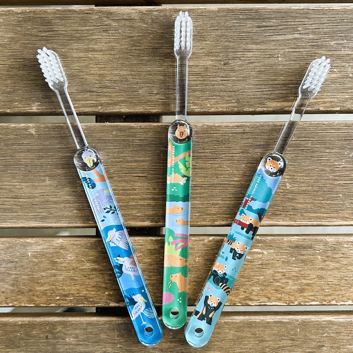 まいにち歯ブラシ ハシビロコウ | 神戸どうぶつ王国NS