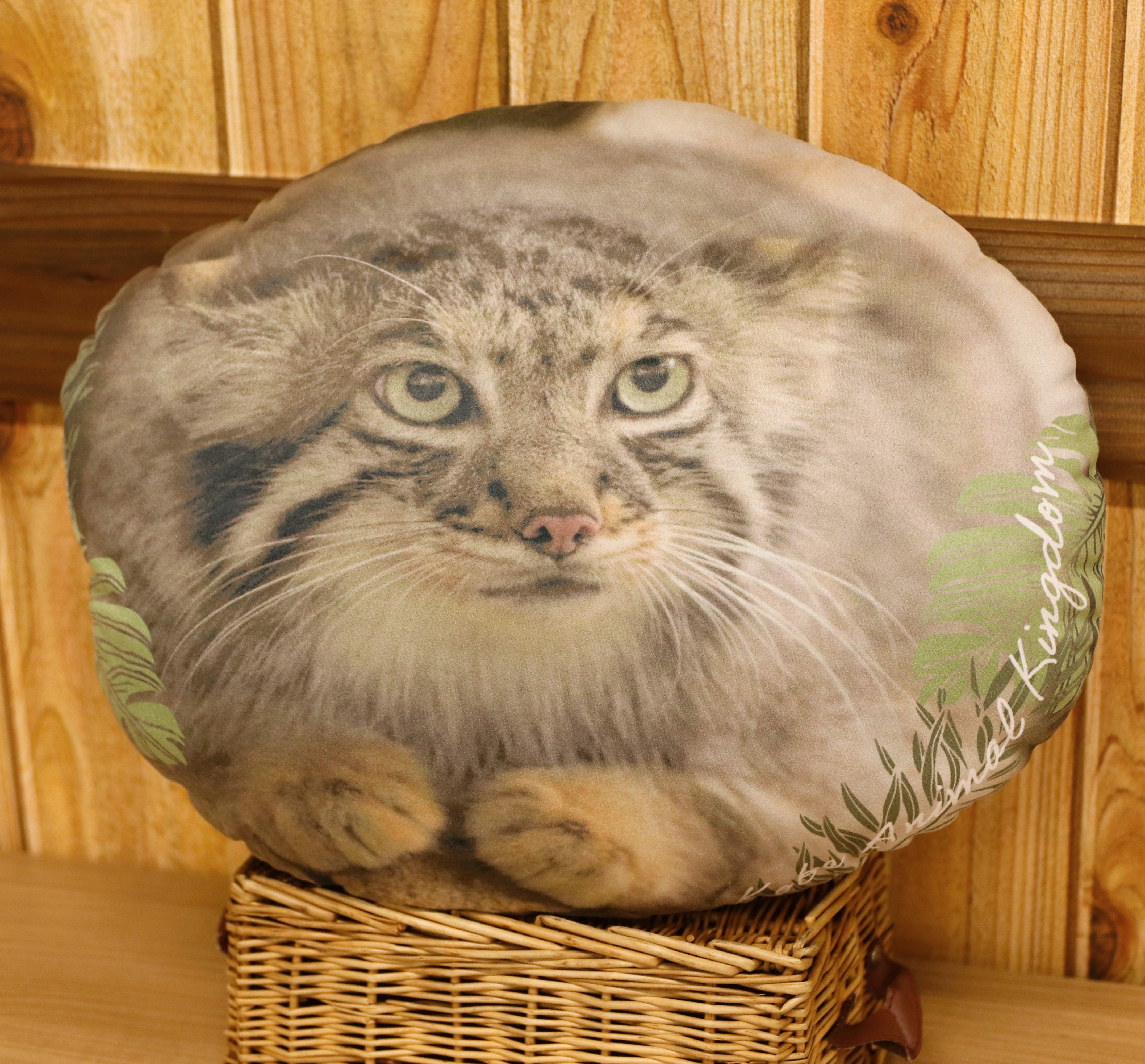 ダイカットクッション マヌルネコ アズ | 神戸どうぶつ王国NS