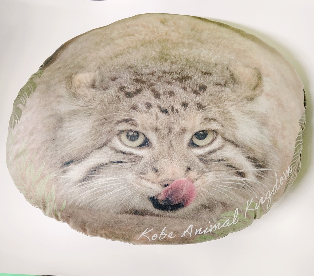 ダイカットクッション マヌルネコ アズ | 神戸どうぶつ王国NS