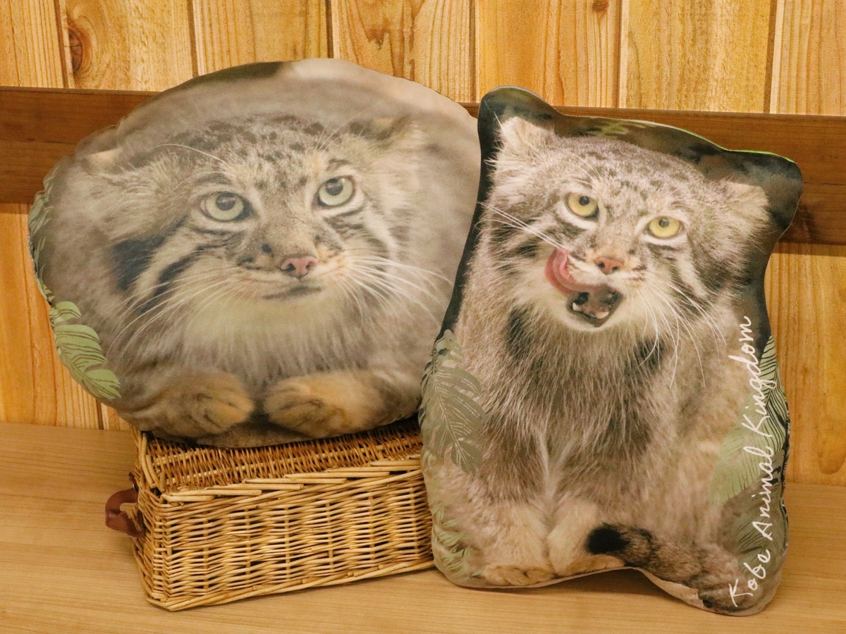 タイドプール　あごべんセット95g ×12 ダイカットクッション マヌルネコ アズ | 神戸どうぶつ王国NS