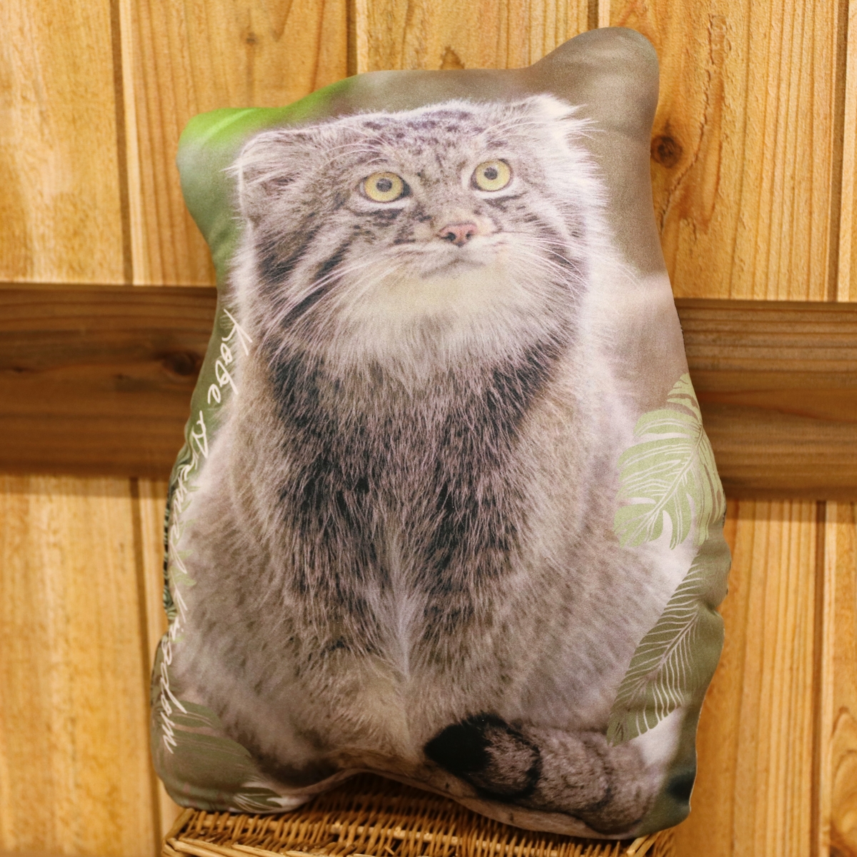 ダイカットクッション マヌルネコ ナル | 神戸どうぶつ王国NS