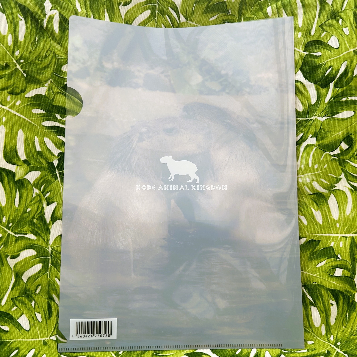 A4クリアファイル なかよしカピバラ | 神戸どうぶつ王国NS