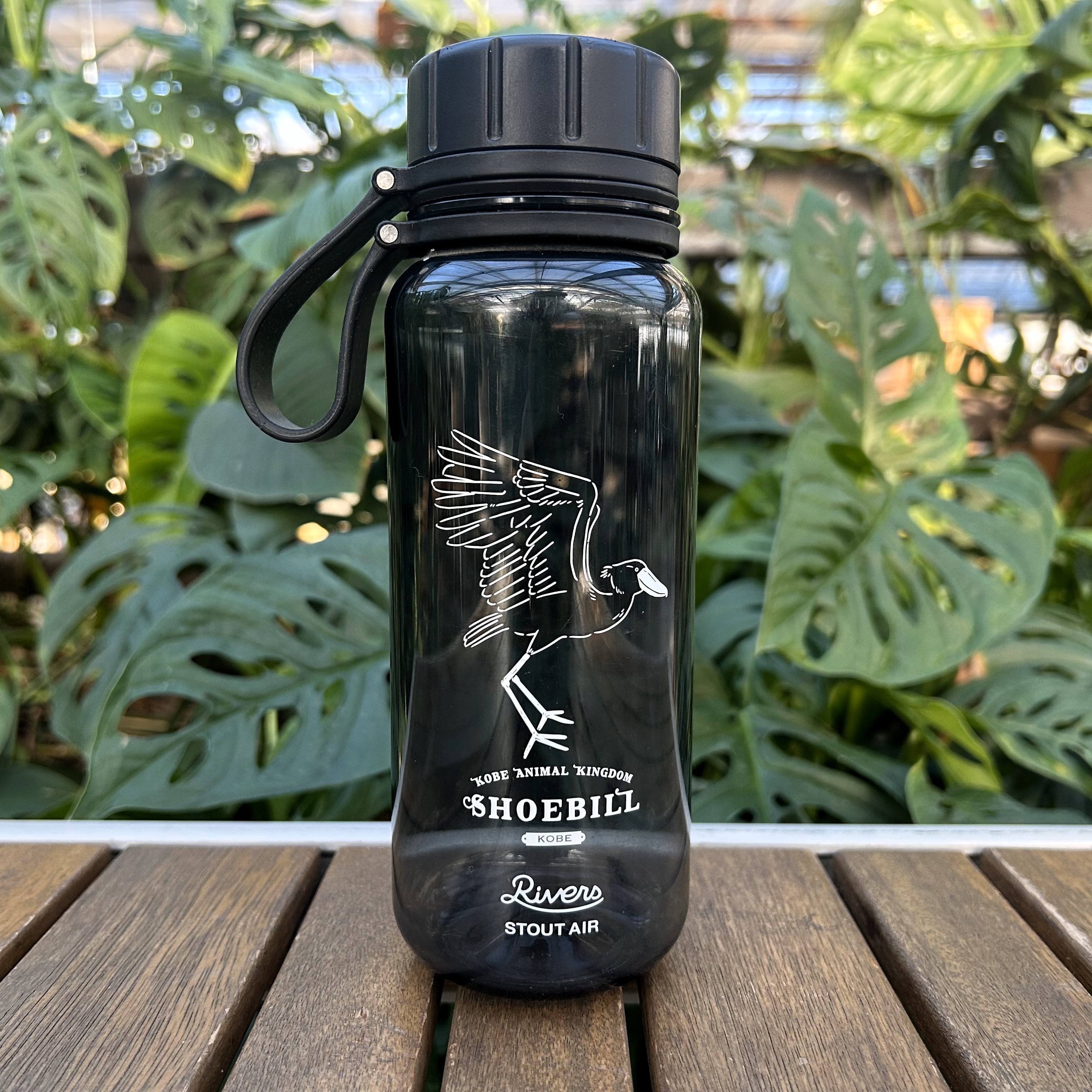 しなこ DOSHISHA Shinako 3WAYキッズボトル 600ml （しなこ 水筒 