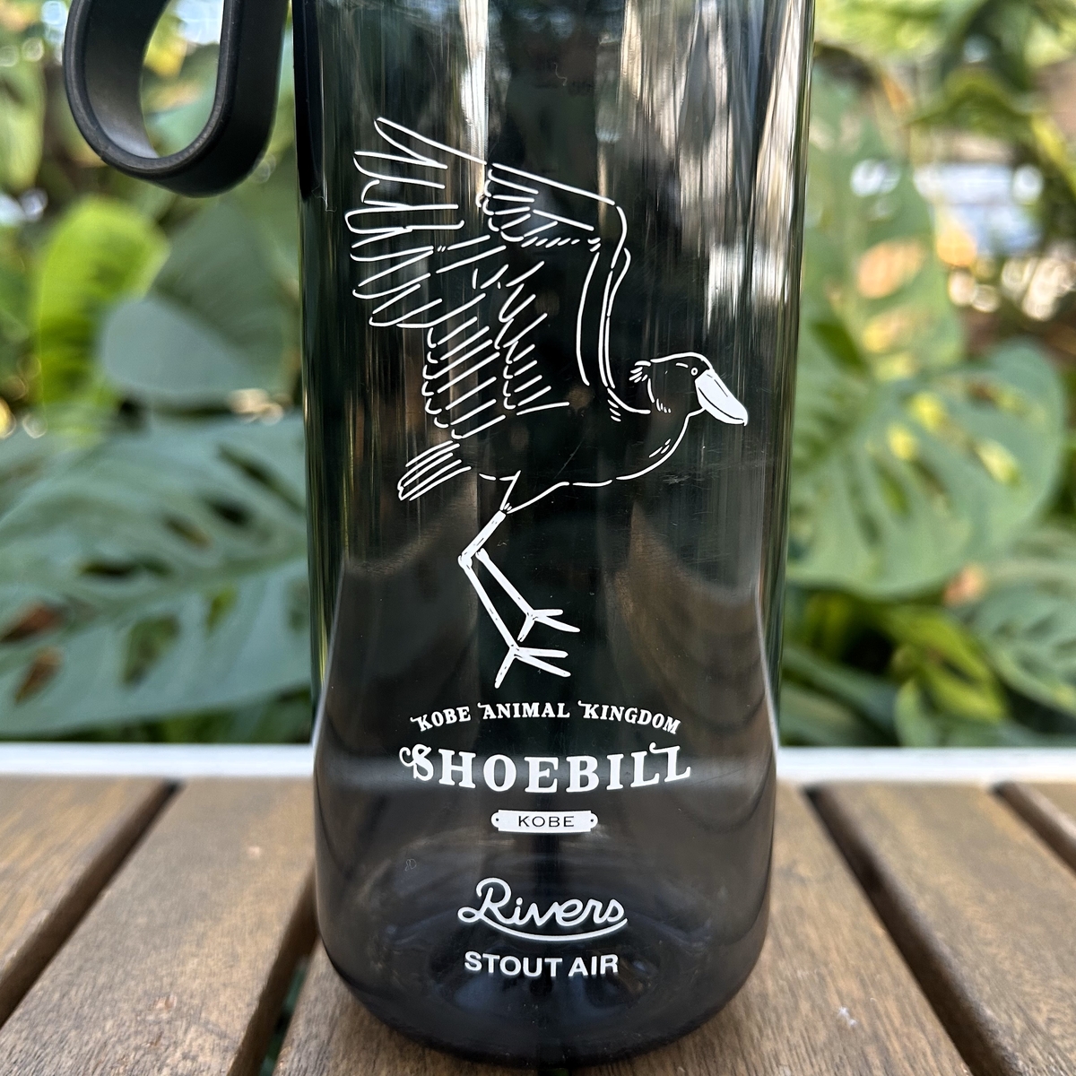 ハシビロコウ スケルトンボトル | 神戸どうぶつ王国NS