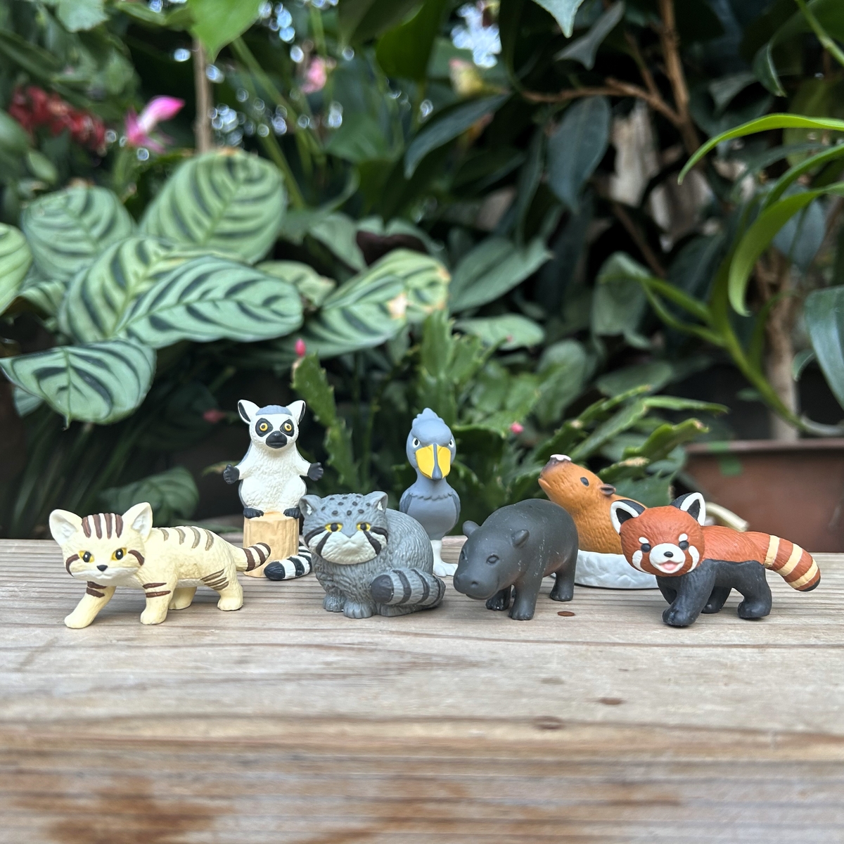 ブラインドフィギュア ver.1 【神戸どうぶつ王国コレクション