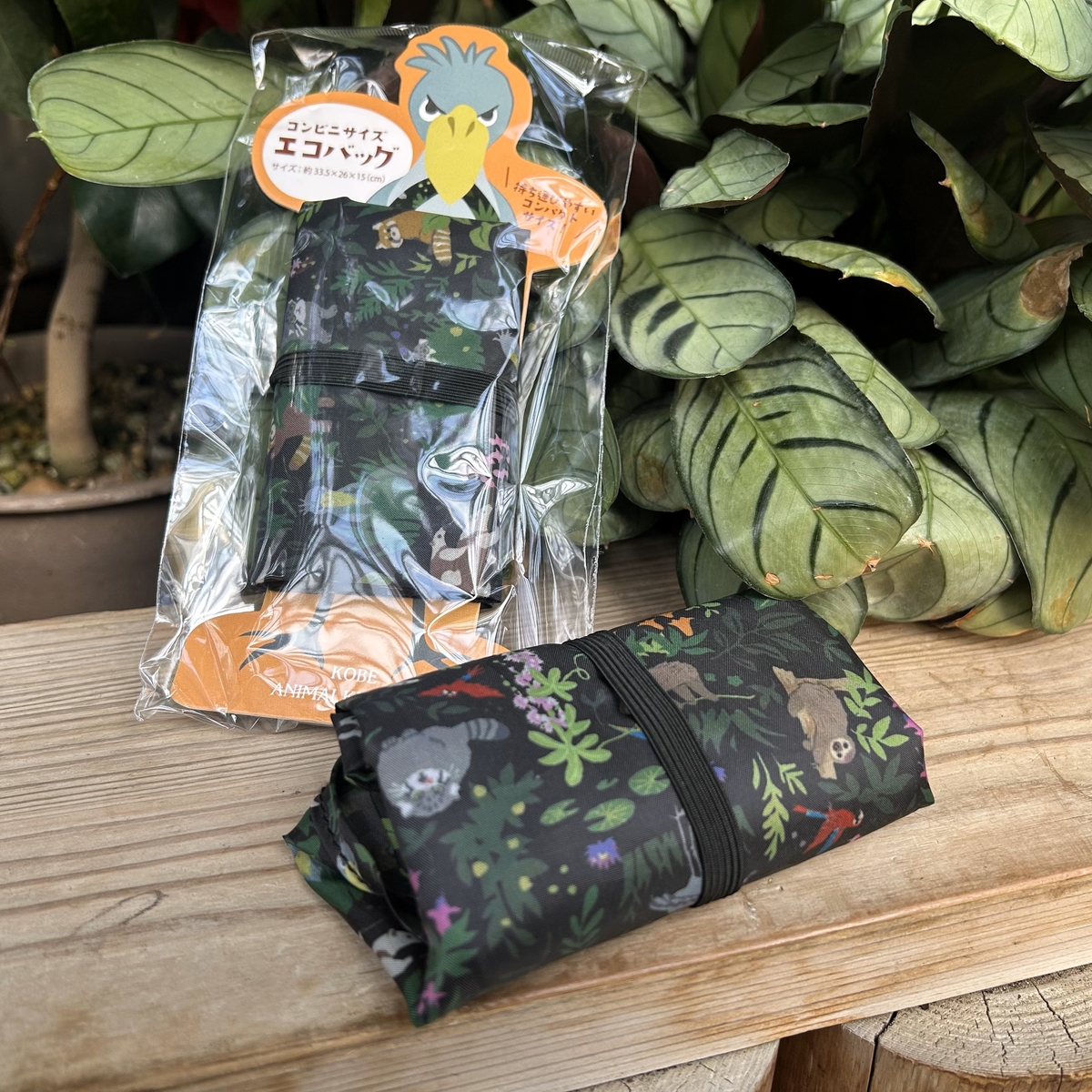 マヌルネコ　バッグ エコバッグ（コンビニサイズ） シャムドクチュール 王国動植物