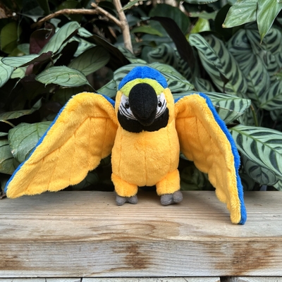 ルリコンゴウインコ ボールチェーン | 神戸どうぶつ王国NS