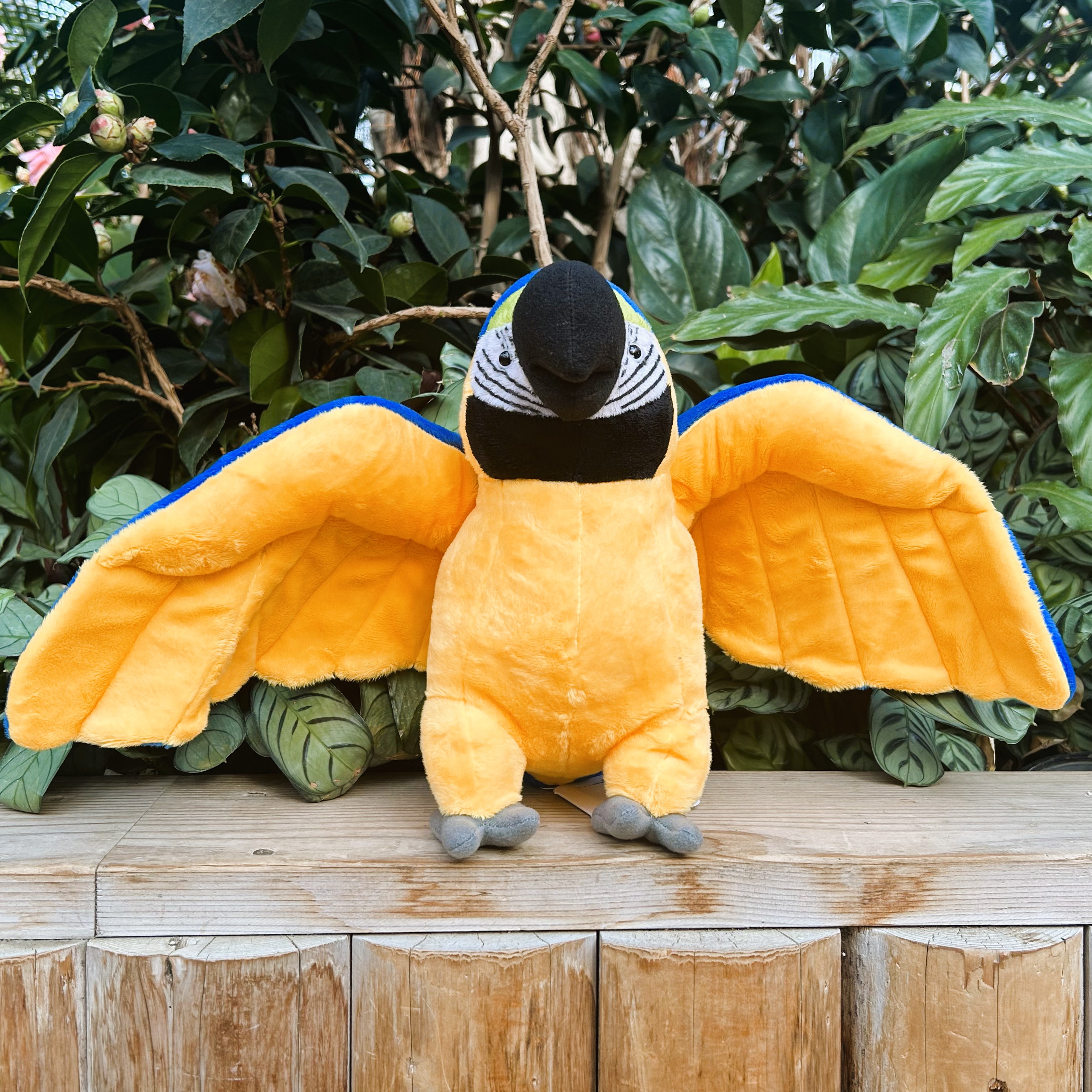 Originalぬいぐるみ ルリコンゴウインコ | 神戸どうぶつ王国NS