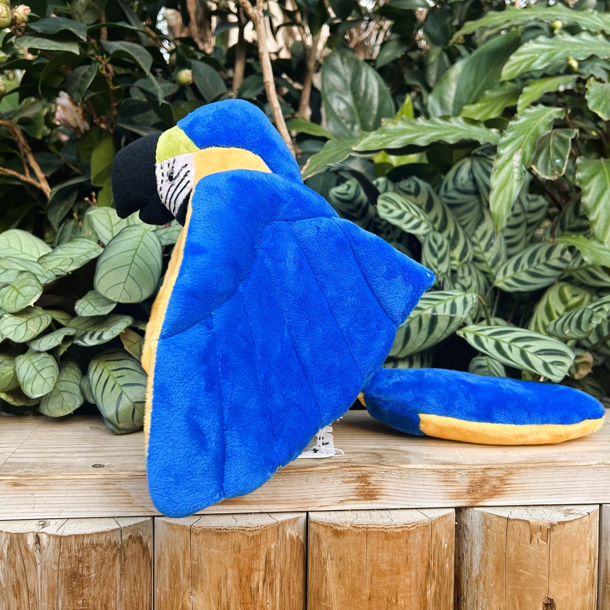 昭和レトロ　ヴィンテージ  ルリコンゴウインコ＆オウム　ぬいぐるみ　中古品 Amazon.co.jp: ワイルドリパブリック ルリコンゴウインコ