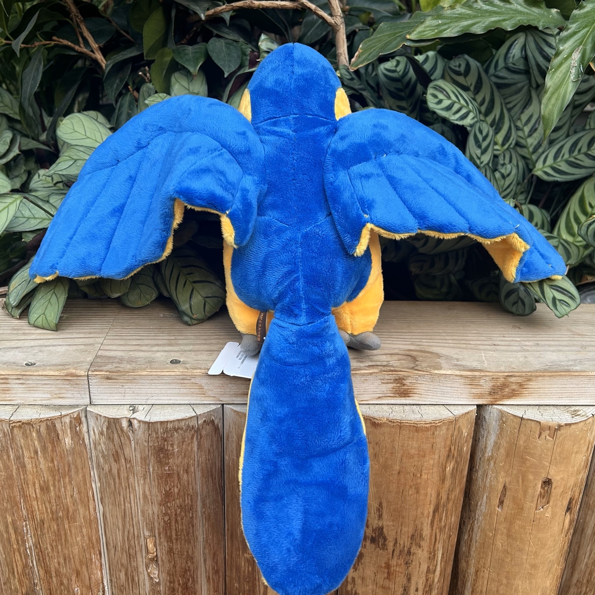 Originalぬいぐるみ ルリコンゴウインコ | 神戸どうぶつ王国NS