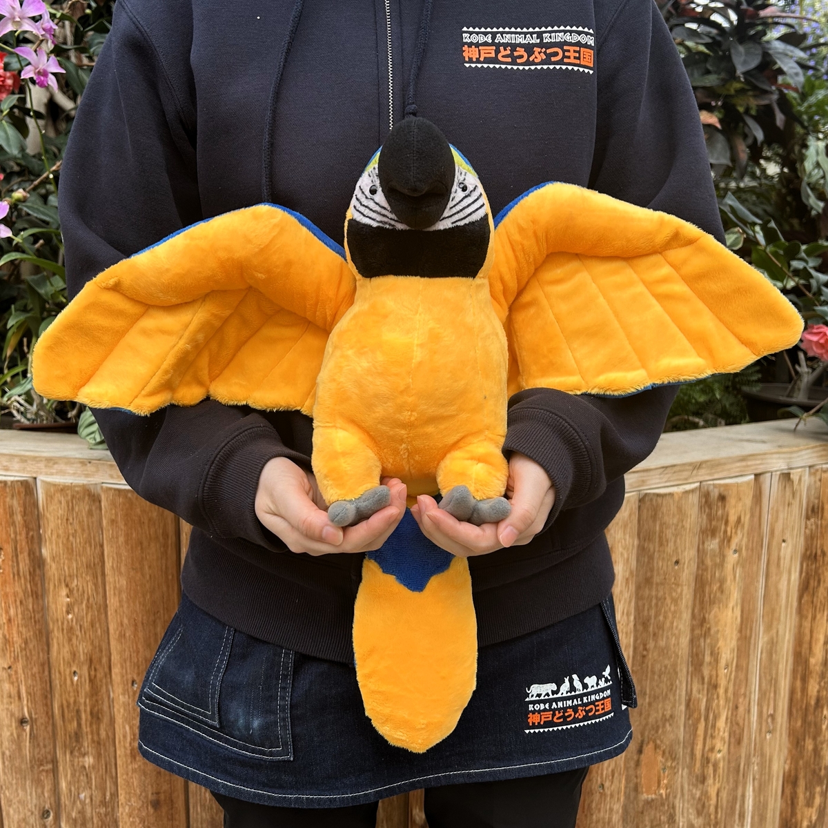 Originalぬいぐるみ ルリコンゴウインコ | 神戸どうぶつ王国NS