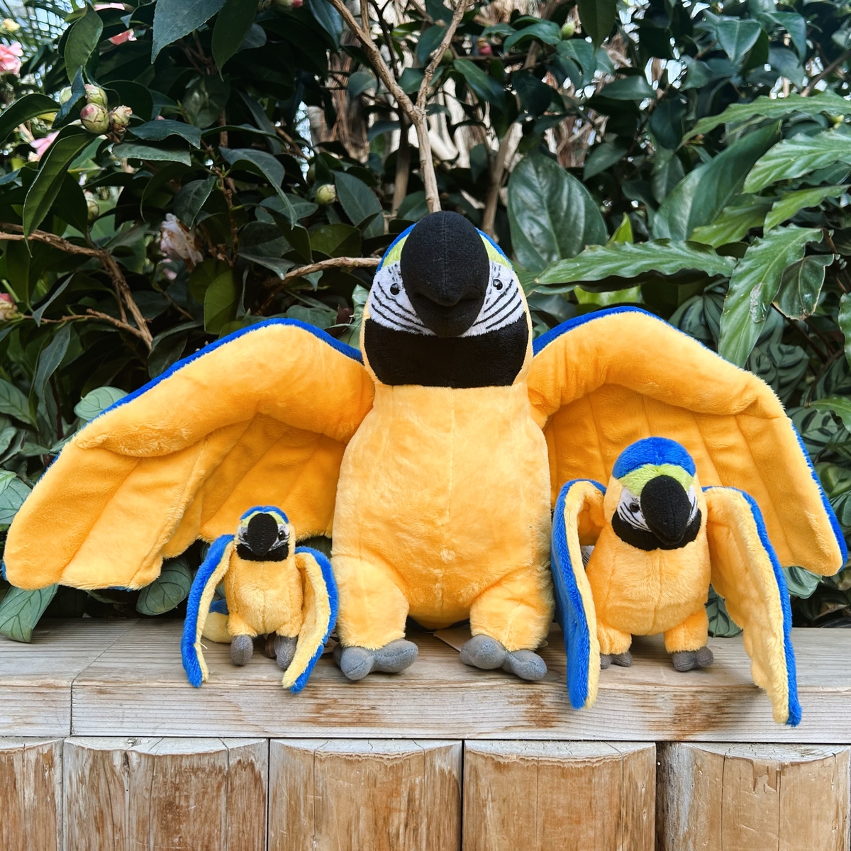 昭和レトロ　ヴィンテージ  ルリコンゴウインコ＆オウム　ぬいぐるみ　中古品 昭和レトロ ヴィンテージ ルリコンゴウインコ＆オウム